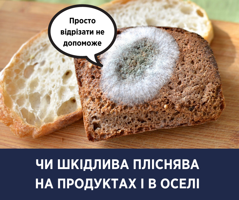Приснился хлеб с плесенью. Хлеб с плесенью по биологии. Сонник хлеб с плесенью. Что будет если съесть хлеб с плесенью. Сонник видеть хлеб